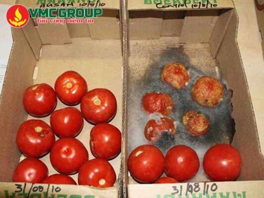 Chất bảo quản giúp ngăn chặn sự hư hỏng trong sản phẩm