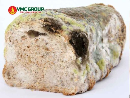 Không dùng chất chống mốc có thể khiến bánh bị ảnh hưởng chất lượng