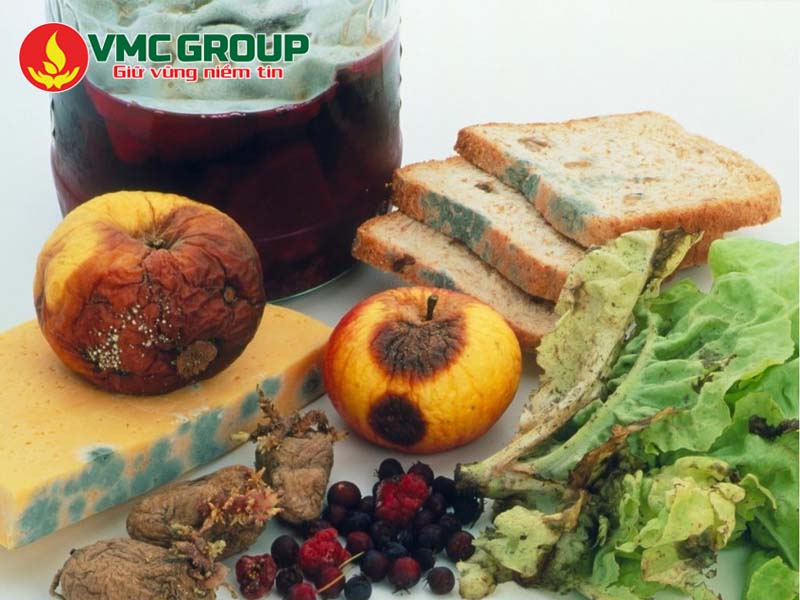 Thực phẩm bị mốc có thể do nhiều nguyên nhân