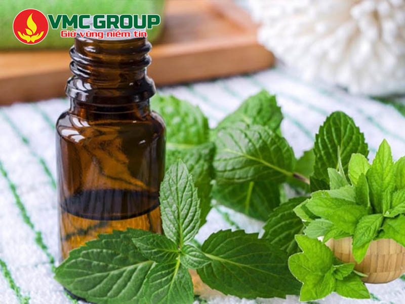 Hương bạc hà thực phẩm là gì?
